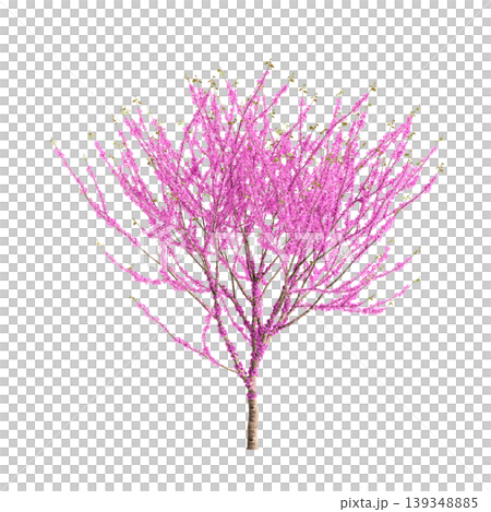 Cercis chinensis tree 3d illustration on transparent background Cercis chinensis tree 3d illustration on transparent background 139348885