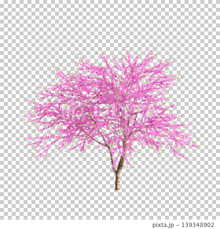 Cercis chinensis tree 3d illustration on transparent background 139348902