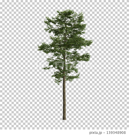 Camptotheca acuminata tree 3d illustration on transparent background Camptotheca acuminata tree 3d illustration on transparent background 139348908