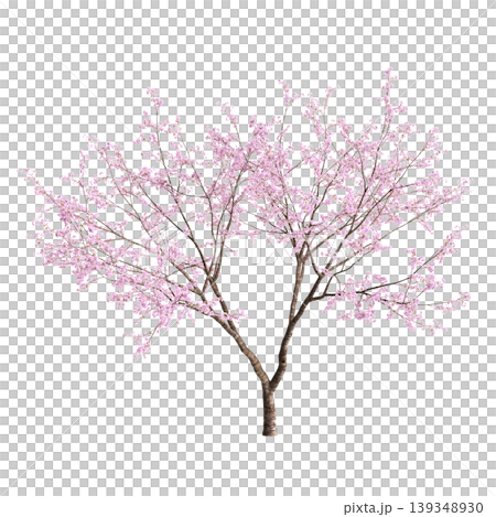 Cerasus tree 3d illustration on transparent background Cerasus tree 3d illustration on transparent background 139348930