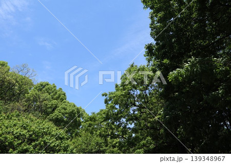 大田区　平和の森公園 139348967
