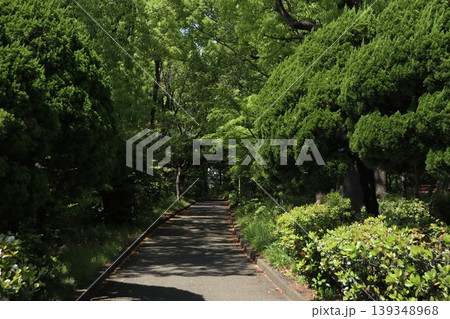 大田区 平和の森公園 大田区 平和の森公園 139348968