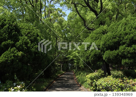 大田区 平和の森公園 大田区 平和の森公園 139348969