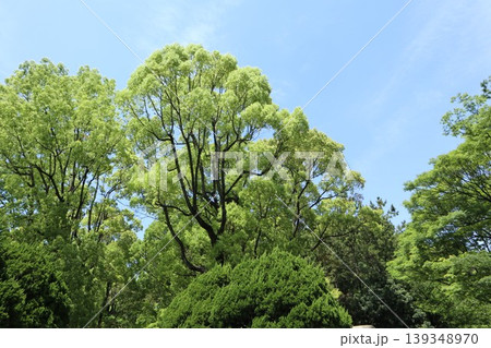 大田区 平和の森公園 大田区 平和の森公園 139348970