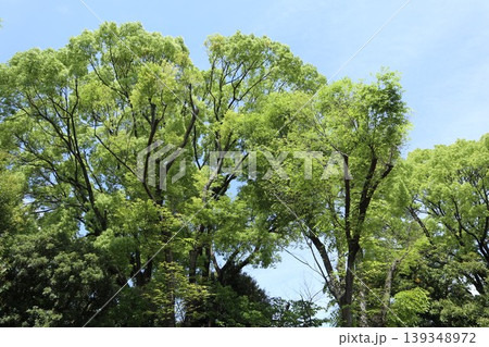 大田区　平和の森公園 139348972