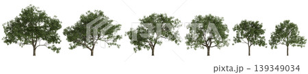 Set Juglans regia trees 3d illustration on transparent background 139349034