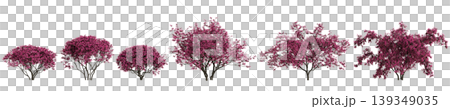 Set Loropetalum chinense trees 3d illustration on transparent background Set Loropetalum chinense trees 3d illustration on transparent background 139349035