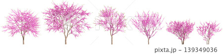 Set Cercis chinensis trees 3d illustration on transparent background Set Cercis chinensis trees 3d illustration on transparent background 139349036