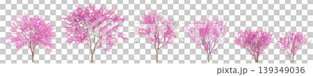 Set Cercis chinensis trees 3d illustration on transparent background Set Cercis chinensis trees 3d illustration on transparent background 139349036
