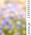 花の印象 139349310