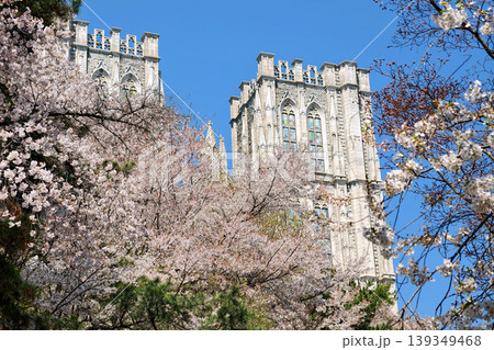Cherry blossom tuunel surround Kyung Hee University Grand Hall, Seoul Cherry blossom tuunel surround Kyung Hee University Grand Hall, Seoul 139349468