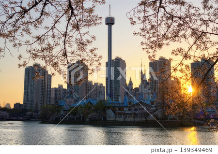 cherry blossom by Lotte World magic island at sunset, Seoul cherry blossom by Lotte World magic island at sunset, Seoul 139349469