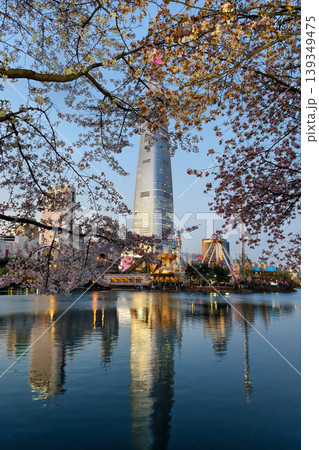 cherry blossom at Seokchon Lake Park with Lotte World tower, Seoul cherry blossom at Seokchon Lake Park with Lotte World tower, Seoul 139349475