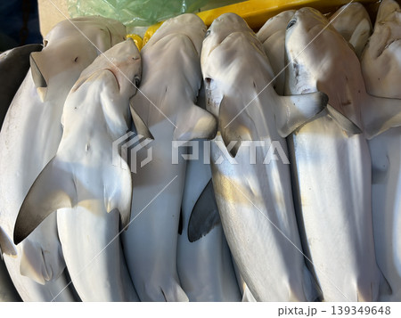 Shark and marine catch arranged together representing endangered sharks and extinction risk from fishing. Shark and marine catch arranged together representing endangered sharks and extinction risk from fishing. 139349648