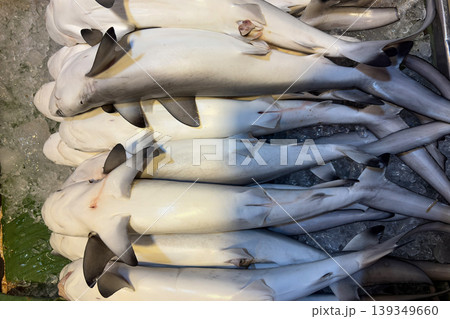 Raw shark seafood display representing endangered sharks facing population decline and extinction threat. Raw shark seafood display representing endangered sharks facing population decline and extinction threat. 139349660