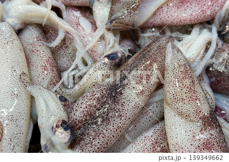 Fresh squids pile representing seafood harvest, wet market supply and fishery catch. Fresh squids pile representing seafood harvest, wet market supply and fishery catch. 139349662