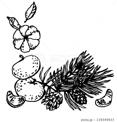 Pine branch with pine cones and mandarins 139349933