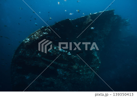USAT Liberty wreckship underwater in Tulamben, Bali. Freediving on wreck ship 139350413