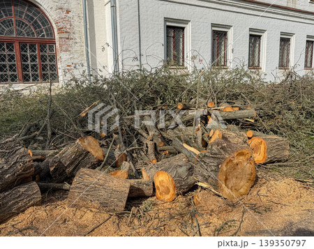 Pile of cut logs, branches lies along park path near historic building with white facade with visible tree removal debris. Landscape maintenance, park work, environmental management, outdoor Pile of cut logs, branches lies along park path near historic building with white facade with visible tree removal debris. Landscape maintenance, park work, environmental management, outdoor 139350797