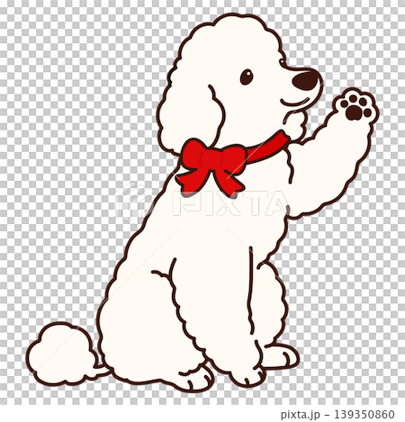 A simple and cute illustration of a white poodle sitting and waving with a red ribbon on its head. (Outlined) A simple and cute illustration of a white poodle sitting and waving with a red ribbon on its head. (Outlined) 139350860