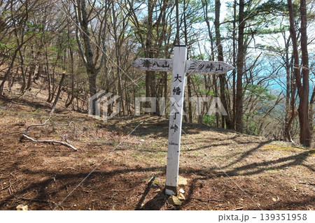 山梨県の大幡八丁峠にある登山道の道標。清八山と三ッ峠山への分岐点。 山梨県の大幡八丁峠にある登山道の道標。清八山と三ッ峠山への分岐点。 139351958