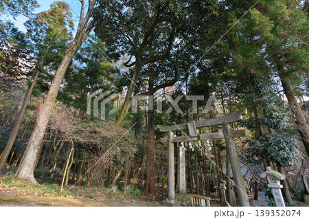 桜川市 五所駒瀧神社 2月 桜川市 五所駒瀧神社 2月 139352074