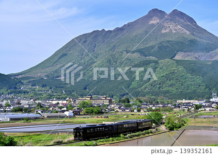 由布岳の麓を走るかんぱち号 由布岳の麓を走るかんぱち号 139352161