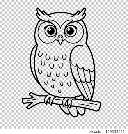 リアルめなフクロウのイラスト 139352423