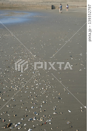 砂浜 ビーチ 海景 139352797