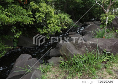 品川区民公園 品川区民公園 139352891