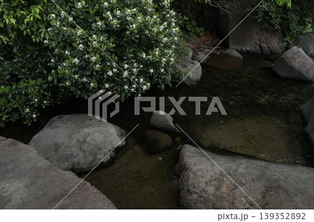 品川区民公園 品川区民公園 139352892