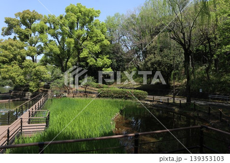 大田区 平和の森公園 大田区 平和の森公園 139353103