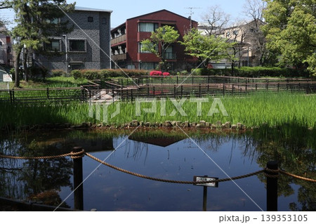 大田区 平和の森公園 大田区 平和の森公園 139353105