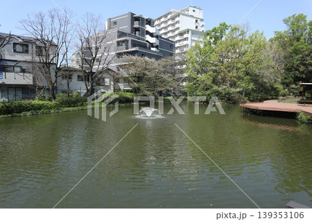 大田区 平和の森公園 大田区 平和の森公園 139353106