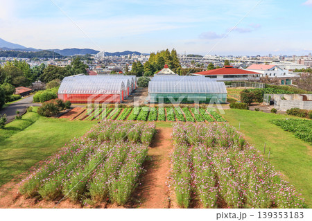 福岡県北九州市立農事センター花農丘公園 139353183