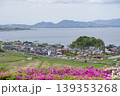 荒島の街並み 139353268