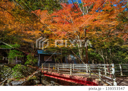 岡崎市のくらがり渓谷の風景(愛知県) 岡崎市のくらがり渓谷の風景(愛知県) 139353547