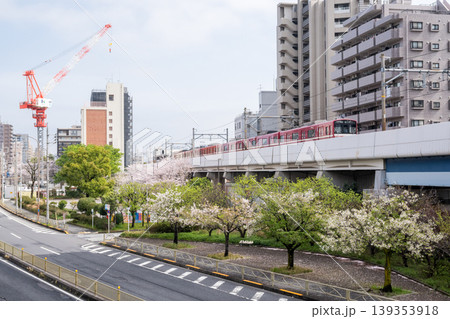 【京急本線】桜咲く公園側を通過する普通列車 【京急本線】桜咲く公園側を通過する普通列車 139353918