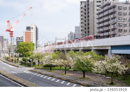 【京急本線】桜咲く公園側を通過する普通列車 【京急本線】桜咲く公園側を通過する普通列車 139353919
