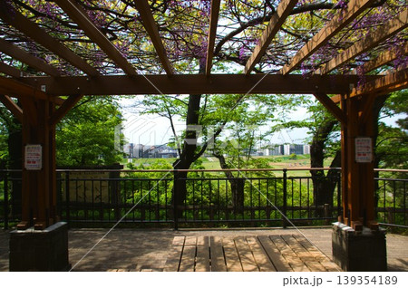 多摩川台公園 多摩川台公園 139354189