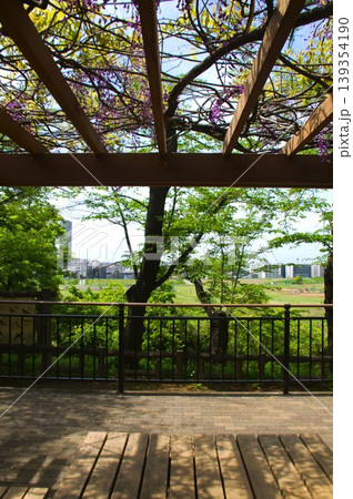 多摩川台公園 多摩川台公園 139354190