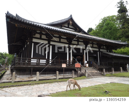 古都・奈良の息吹。大黒殿の重厚な屋根の下で草をはむ野生の鹿 139354259