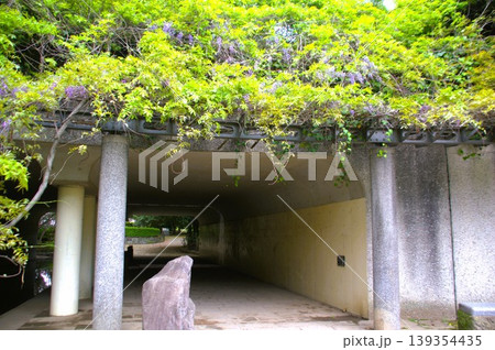 山崎公園 山崎公園 139354435