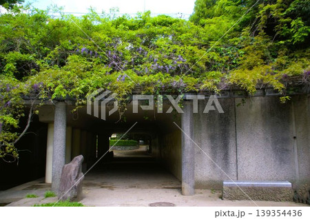 山崎公園 山崎公園 139354436