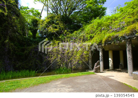 山崎公園 山崎公園 139354545