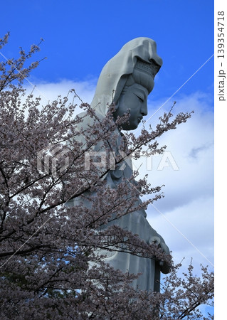 咲き乱れるソメイヨシノと高崎百衣観音 咲き乱れるソメイヨシノと高崎百衣観音 139354718