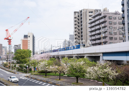 【京急本線】桜咲く公園側を通過する特急列車 【京急本線】桜咲く公園側を通過する特急列車 139354782