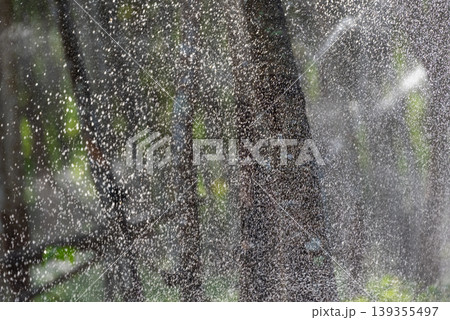 Water droplets spraying across tree trunks in forest creating fresh cooling atmosphere with natural texture light and refreshing outdoor environment Water droplets spraying across tree trunks in forest creating fresh cooling atmosphere with natural texture light and refreshing outdoor environment 139355497