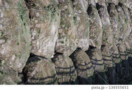 tiered formation of gabion baskets heavy-duty wire mesh cages filled with weathered, earthen stone. The coarse, rugged texture of the stone is beautifully softened by delicate tufts of emerald moss tiered formation of gabion baskets heavy-duty wire mesh cages filled with weathered, earthen stone. The coarse, rugged texture of the stone is beautifully softened by delicate tufts of emerald moss 139355651