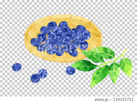 竹ざるに乗ったブルーベリーの果実　フルーツの手描き水彩イラスト素材 139355731